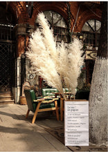 Load image into Gallery viewer, 24inch Cream Blush Mint Green Large Pampas Grass 5pcs for wedding centerpiece Decoration - Dancefeather