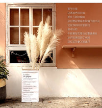 Load image into Gallery viewer, 24inch Cream Blush Mint Green Large Pampas Grass 5pcs for wedding centerpiece Decoration - Dancefeather