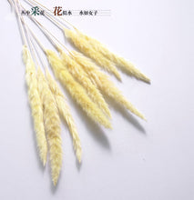 Load image into Gallery viewer, 16inch Pampas Grass 7stems/lot for wedding centerpiece Home Decor