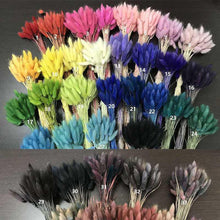 Load image into Gallery viewer, 50stems one bunch 14inch dried bouquet ,dried flowers bouquet,handmade flower arrangement,home decor