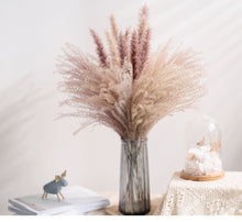 Load image into Gallery viewer, 7stems 18inch dried wedding pampas grass decoration ,dried botanical,Dried pampas grass flower arrangement,home decor