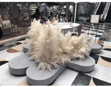 Load image into Gallery viewer, 24inch Cream Blush Mint Green Large Pampas Grass 5pcs for wedding centerpiece Decoration - Dancefeather