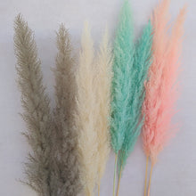Load image into Gallery viewer, 20inch Grey Cream Blush Mint Green Large Pampas Grass 5pcs for wedding centerpiece - Dancefeather