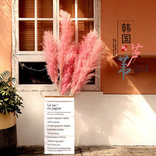 Load image into Gallery viewer, 24inch Cream Blush Mint Green Large Pampas Grass 5pcs for wedding centerpiece Decoration - Dancefeather