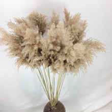 Load image into Gallery viewer, 16inch Pampas Grass 7stems/lot for wedding centerpiece Home Decor
