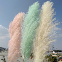 Load image into Gallery viewer, 24inch Cream Blush Mint Green Large Pampas Grass 5pcs for wedding centerpiece Decoration - Dancefeather