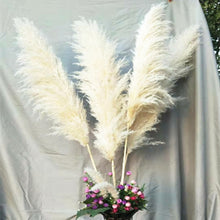 Load image into Gallery viewer, 24inch Cream Blush Mint Green Large Pampas Grass 5pcs for wedding centerpiece Decoration - Dancefeather