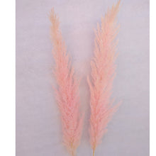 Load image into Gallery viewer, 20inch Grey Cream Blush Mint Green Large Pampas Grass 5pcs for wedding centerpiece - Dancefeather