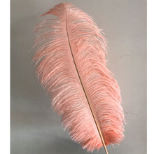 Load image into Gallery viewer, 100 Blush Pink Ostrich feathers for wedding centerpiece - Dancefeather