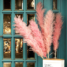 Load image into Gallery viewer, 24inch Cream Blush Mint Green Large Pampas Grass 5pcs for wedding centerpiece Decoration - Dancefeather