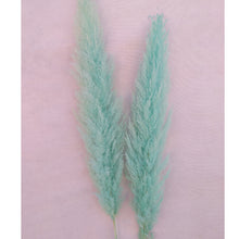 Load image into Gallery viewer, 20inch Grey Cream Blush Mint Green Large Pampas Grass 5pcs for wedding centerpiece Decoration - Dancefeather