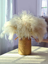 Load image into Gallery viewer, 16inch Pampas Grass 7stems/lot for wedding centerpiece Home Decor