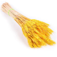 Load image into Gallery viewer, 7stems 18inch dried pampas grass wedding home decor leaves ,dried botanical,Dried pampas grass flower arrangement