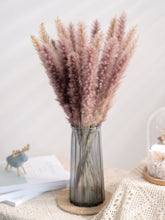 Load image into Gallery viewer, 7stems 18inch dried pampas grass wedding home decor leaves ,dried botanical,Dried pampas grass flower arrangement