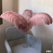 Load image into Gallery viewer, 100 Dusky Pink/Grey Pink Ostrich feathers for wedding centerpiece - Dancefeather
