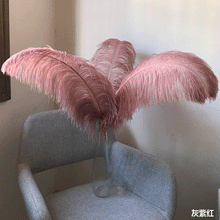 Load image into Gallery viewer, 100 Dusky Pink/Grey Pink Ostrich feathers for wedding centerpiece - Dancefeather