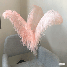 Load image into Gallery viewer, 100 Blush Pink Ostrich feathers for wedding centerpiece - Dancefeather