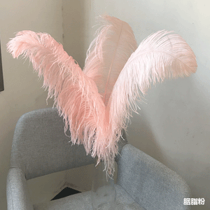 100 Blush Pink Ostrich feathers for wedding centerpiece - Dancefeather