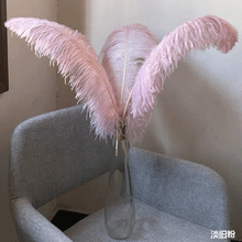 Load image into Gallery viewer, 100 Dusky Pink Ostrich feathers for wedding centerpiece - Dancefeather