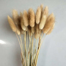 Load image into Gallery viewer, 16inch Pampas Grass 7stems/lot for wedding centerpiece Home Decor