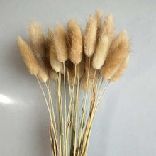 Load image into Gallery viewer, 7stems  18inch dried wedding pampas grass decoration ,dried botanical，Dried pampas grass flower arrangement，home decor
