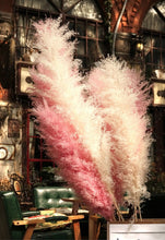 Load image into Gallery viewer, 24inch Cream Blush Mint Green Large Pampas Grass 5pcs for wedding centerpiece Decoration - Dancefeather