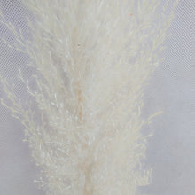 Load image into Gallery viewer, 20inch Grey Cream Blush Mint Green Large Pampas Grass 5pcs for wedding centerpiece - Dancefeather