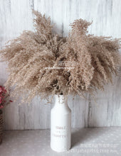 Load image into Gallery viewer, 16inch Pampas Grass 7stems/lot for wedding centerpiece Home Decor