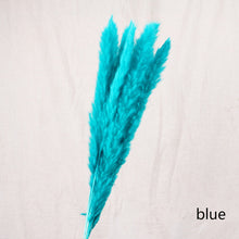 Load image into Gallery viewer, 16inch Pampas Grass 7stems/lot for wedding centerpiece Home Decor