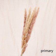 Load image into Gallery viewer, 16inch Pampas Grass 7stems/lot for wedding centerpiece Home Decor