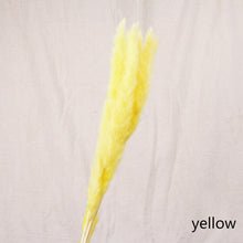 Load image into Gallery viewer, 16inch Pampas Grass 7stems/lot for wedding centerpiece Home Decor