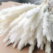 Load image into Gallery viewer, 7stems 18inch dried pampas grass wedding home decor leaves ,dried botanical,Dried pampas grass flower arrangement