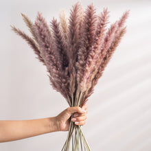 Load image into Gallery viewer, 7stems 18inch dried wedding pampas grass decoration ,dried botanical,Dried pampas grass flower arrangement,home decor