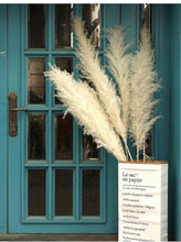 Load image into Gallery viewer, 24inch Cream Blush Mint Green Large Pampas Grass 5pcs for wedding centerpiece Decoration - Dancefeather