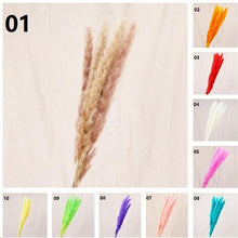 Load image into Gallery viewer, 16inch Pampas Grass 7stems/lot for wedding centerpiece Home Decor