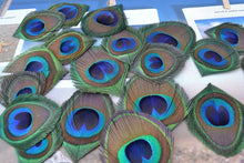 Load image into Gallery viewer, 100 10-12inch Hand Trimmed Peacock Feathers for wedding centerpiece - Dancefeather