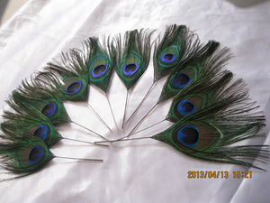 100 10-12inch stripped  Peacock Feathers for wedding centerpiece - Dancefeather