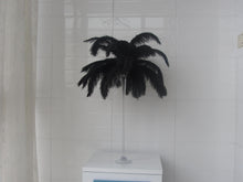 Load image into Gallery viewer, 100/lot Black Ostrich feathers for wedding centerpiece DIY Hat Milliery - Dancefeather
