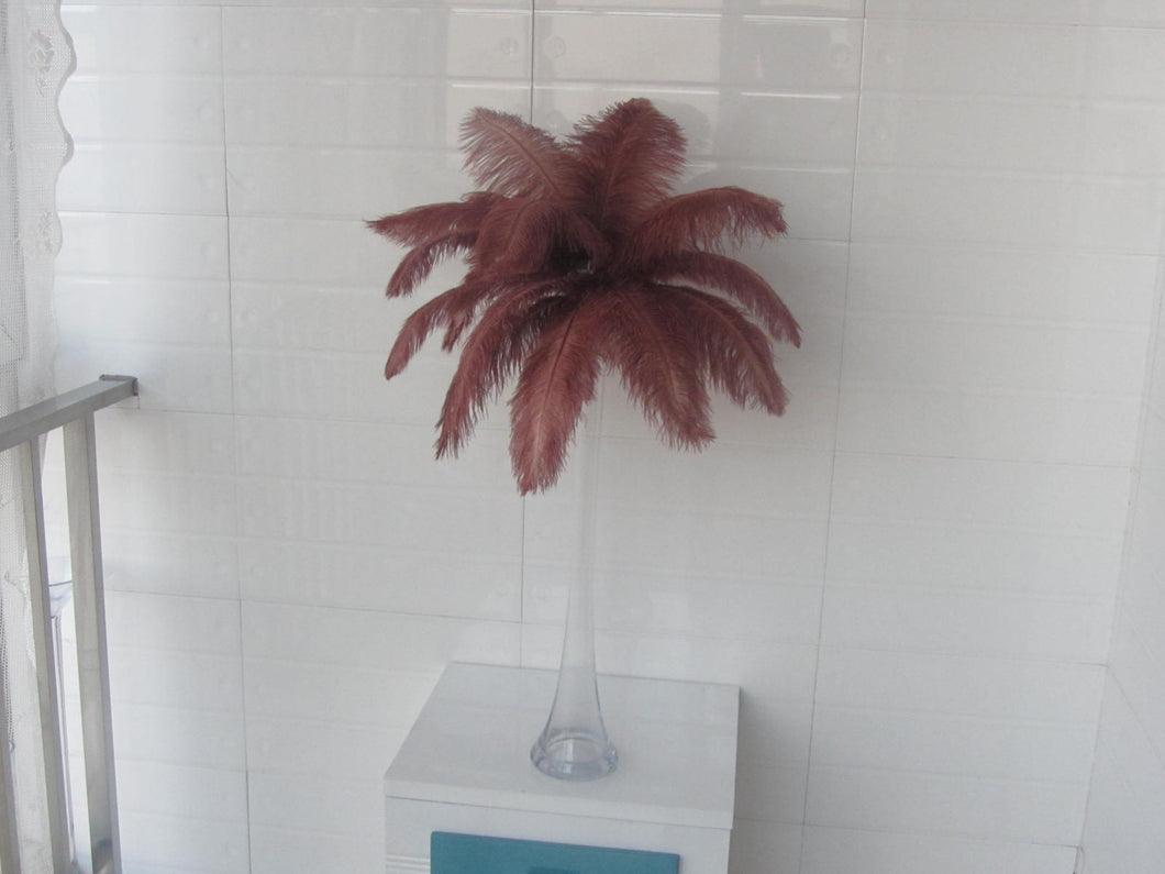 100 Brown Ostrich feathers for wedding centerpiece - Dancefeather