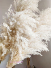 Load image into Gallery viewer, 20inch Champagne Large Pampas Grass 5pcs for wedding centerpiece - Dancefeather