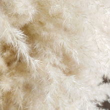 Load image into Gallery viewer, 20inch Champagne Large Pampas Grass 5pcs for wedding centerpiece - Dancefeather
