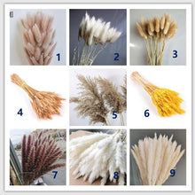 Load image into Gallery viewer, 7stems 18inch dried pampas grass wedding home decor leaves ,dried botanical,Dried pampas grass flower arrangement