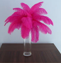 Load image into Gallery viewer, 100 Hot Pink Ostrich feathers for wedding centerpiece - Dancefeather
