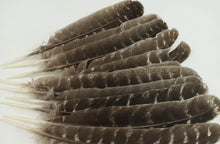 Load image into Gallery viewer, 20pcs 6-8inch Brown Natural Pheasant Feathers for wedding centerpiece home decor