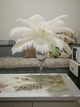 Load image into Gallery viewer, 15 White  13-15inch Ostrich feathers   for wedding centerpiece DIY Hat Milliery
