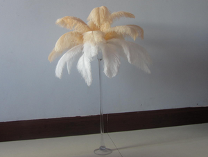 50 Champagne & 50 White Ostrich feathers for wedding centerpiece - Dancefeather