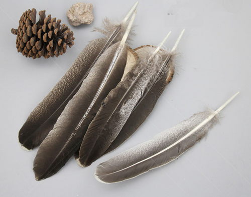 20PCS Brown Turkey Quill Feathers for home table decorations - Dancefeather