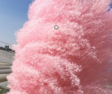 Load image into Gallery viewer, 20inch Grey Cream Blush Mint Green Large Pampas Grass 5pcs for wedding centerpiece Decoration - Dancefeather