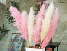 Load image into Gallery viewer, 20inch Grey Cream Blush Mint Green Large Pampas Grass 5pcs for wedding centerpiece Decoration - Dancefeather