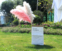 Load image into Gallery viewer, 20inch Grey Cream Blush Mint Green Large Pampas Grass 5pcs for wedding centerpiece Decoration - Dancefeather